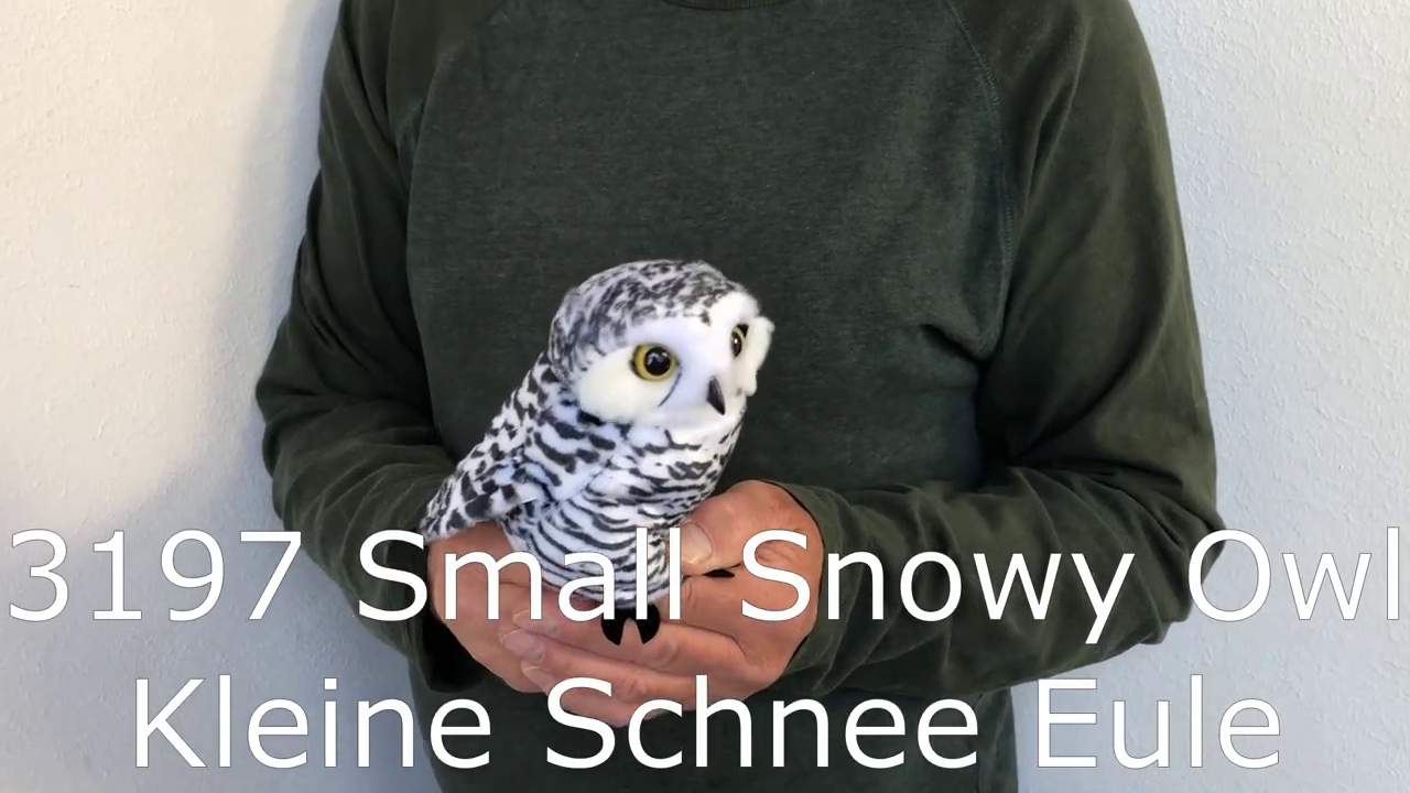 Folkmanis Small Snowy Owl Hand Puppet Demo 2