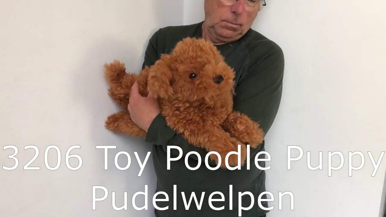 Folkmanis Toy Poodle Hand Puppet Demo 2