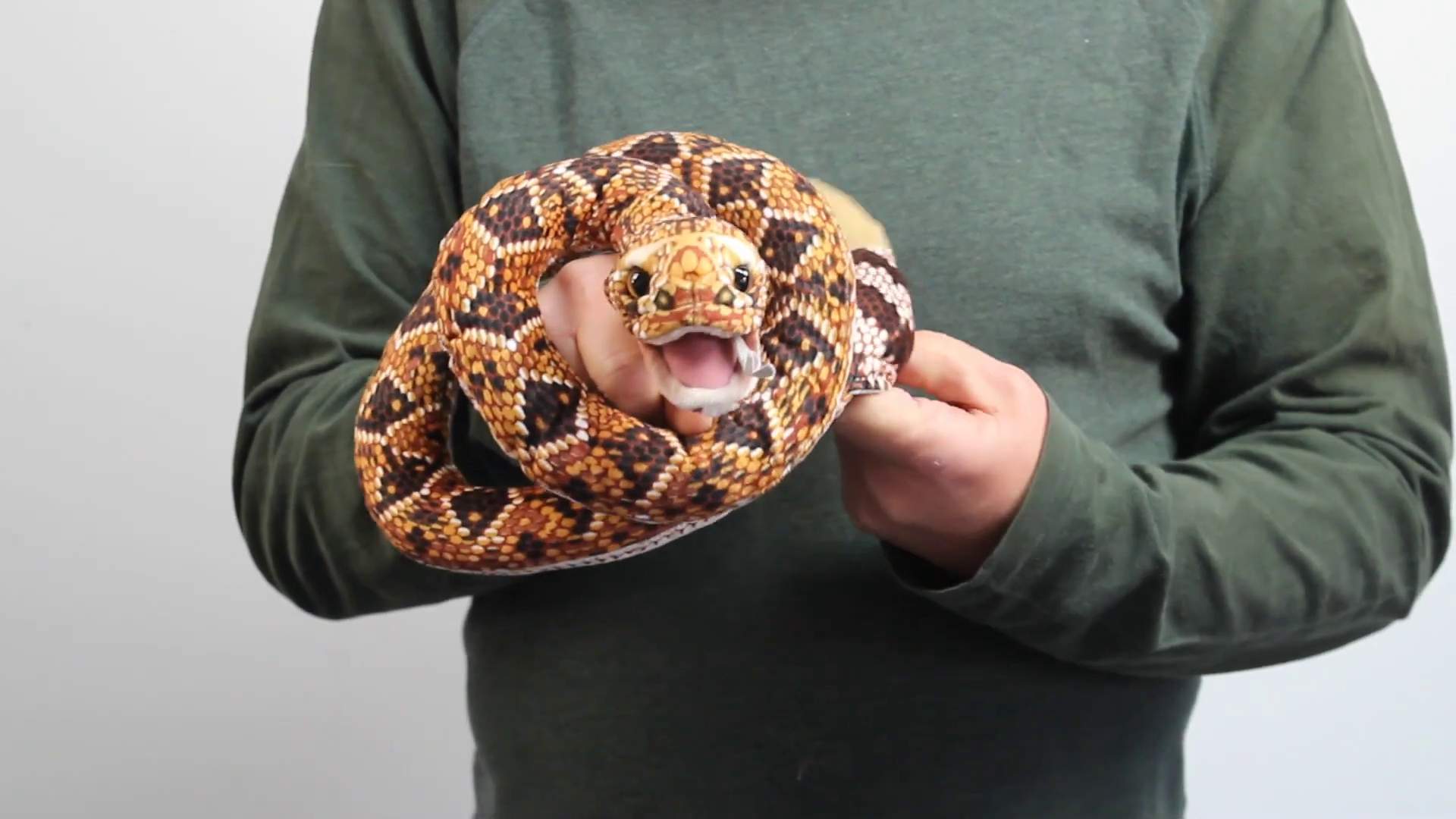 Folkmanis Giant Rattlesnake Finger Puppet Demo 2