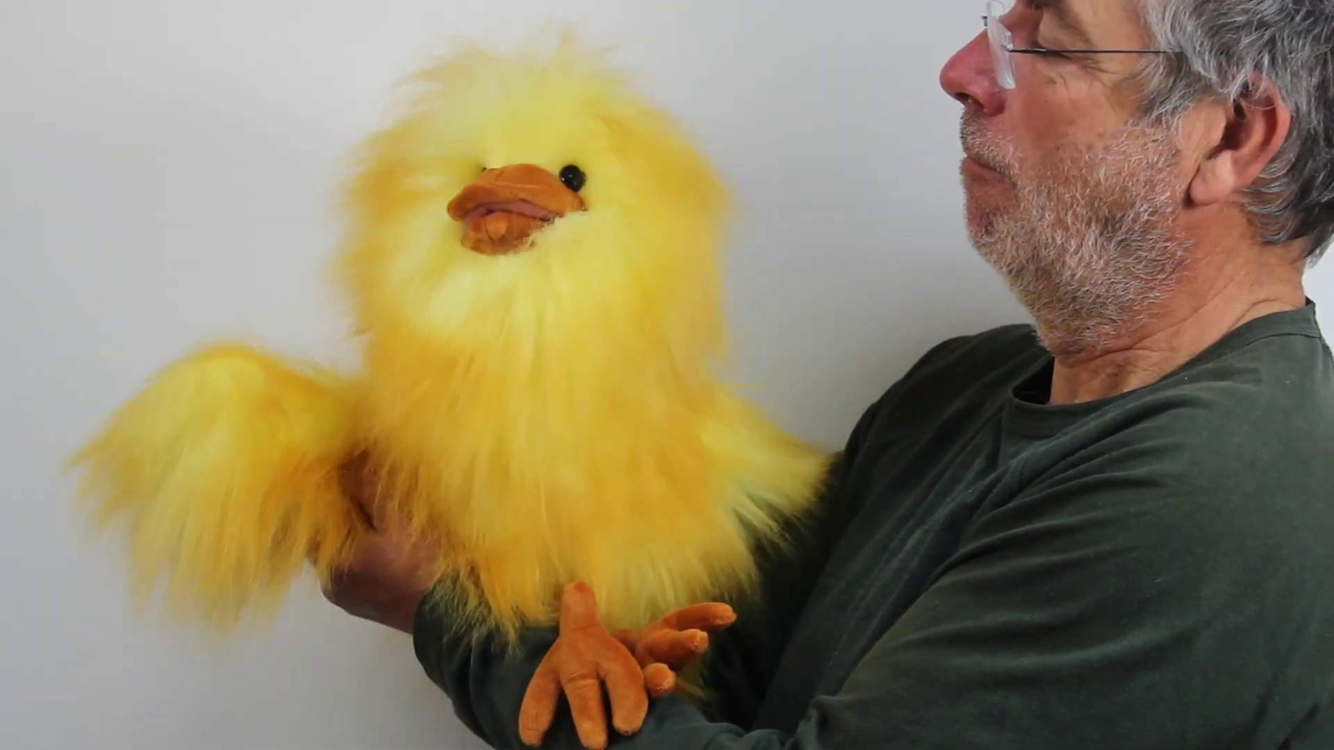 Folkmanis Funny Bird Hand Puppet Demo