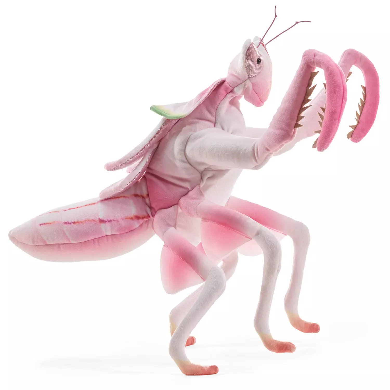 Folkmanis hand puppet orchid mantis in pink and white with raised forelegs and serrated grasping claws, side view