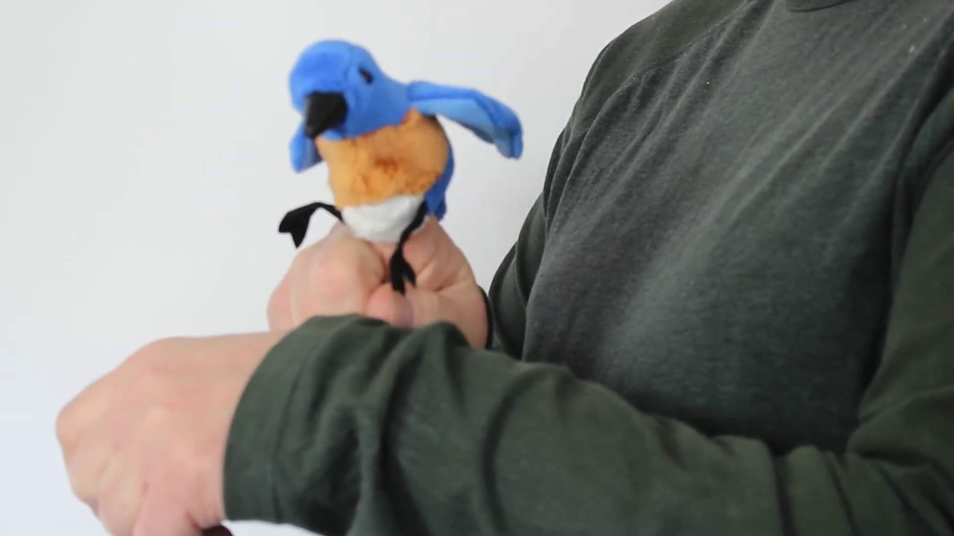 Folkmanis Mini Bluebird Finger Puppet Demo 2