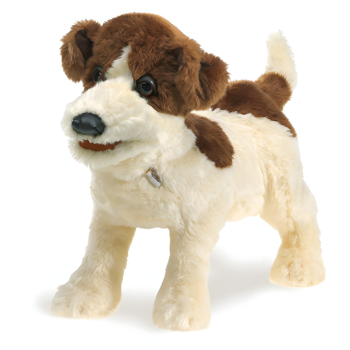 Folkmanis Jack Russell Terrier hand puppet, standing, cream fur with brown patches on head and back, angled view
