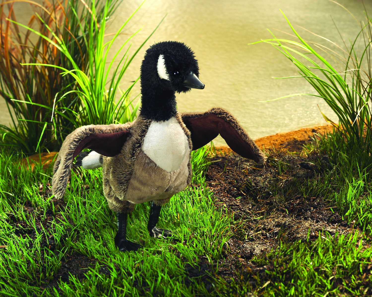 Folkmanis hand puppet Canada goose with black neck, white cheek patch and spread wings, standing on a riverbank