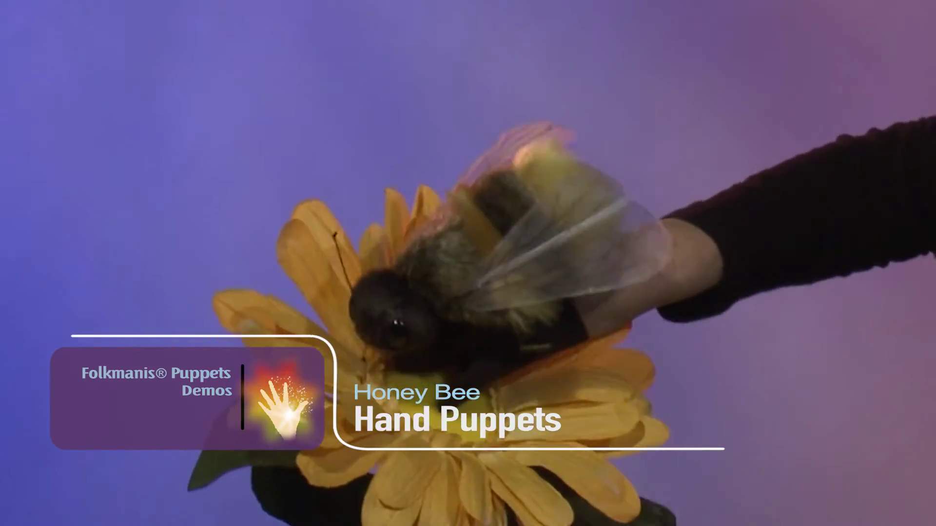 Folkmanis Honey Bee Hand Puppet Demo