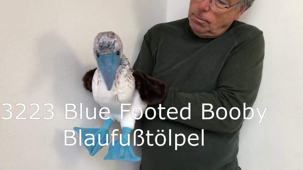 Folkmanis Blue-Footed Booby Hand Puppet Demo