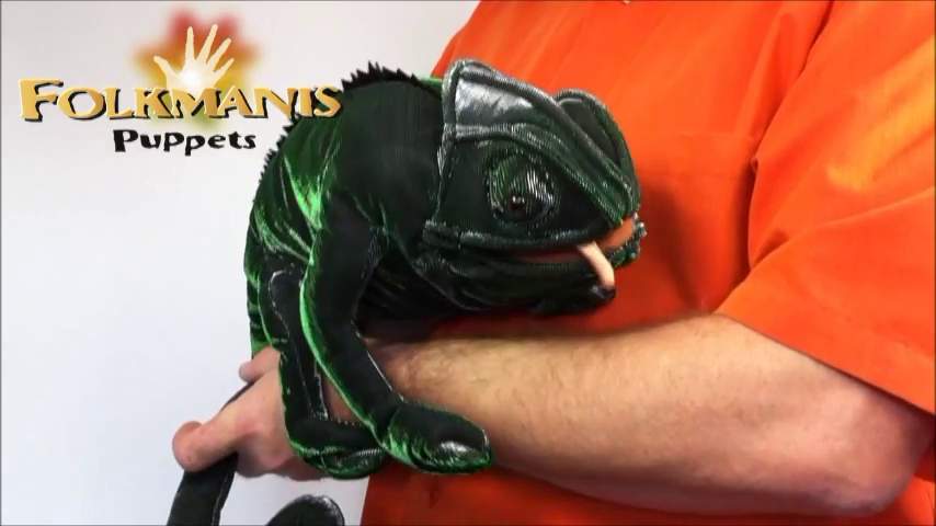Folkmanis Chameleon Hand Puppet Demo 2