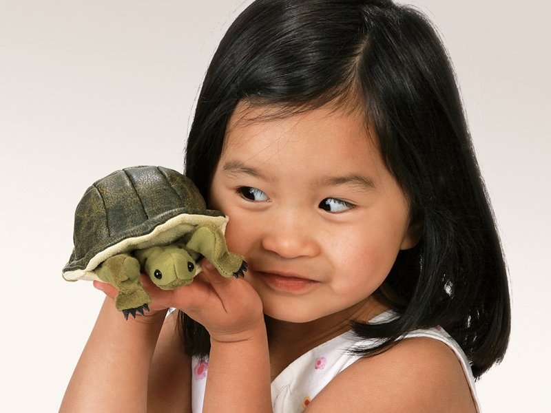 Girl with the Folkmanis mini turtle finger puppet