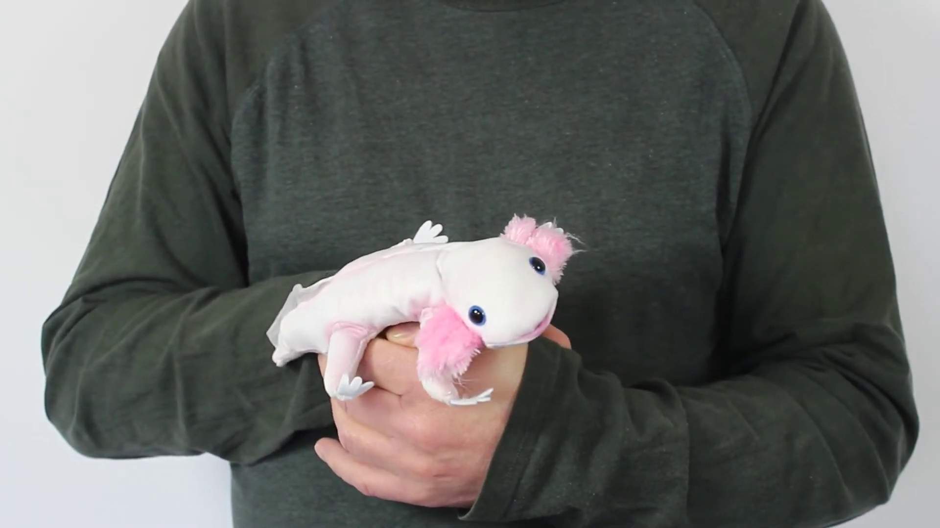 Folkmanis Large Axolotl, White Finger Puppet Demo