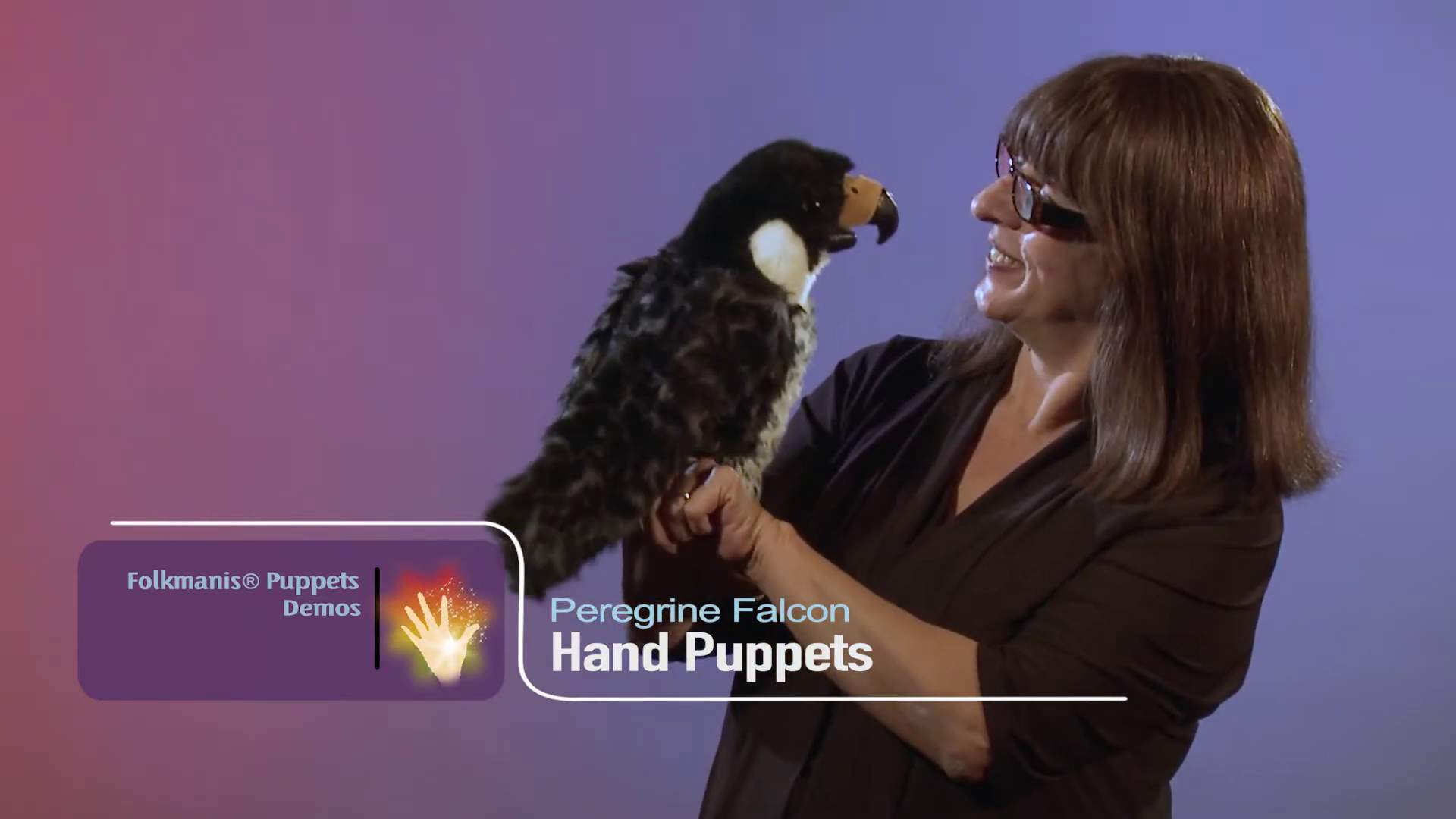 Folkmanis Peregrine Falcon Hand Puppet Demo