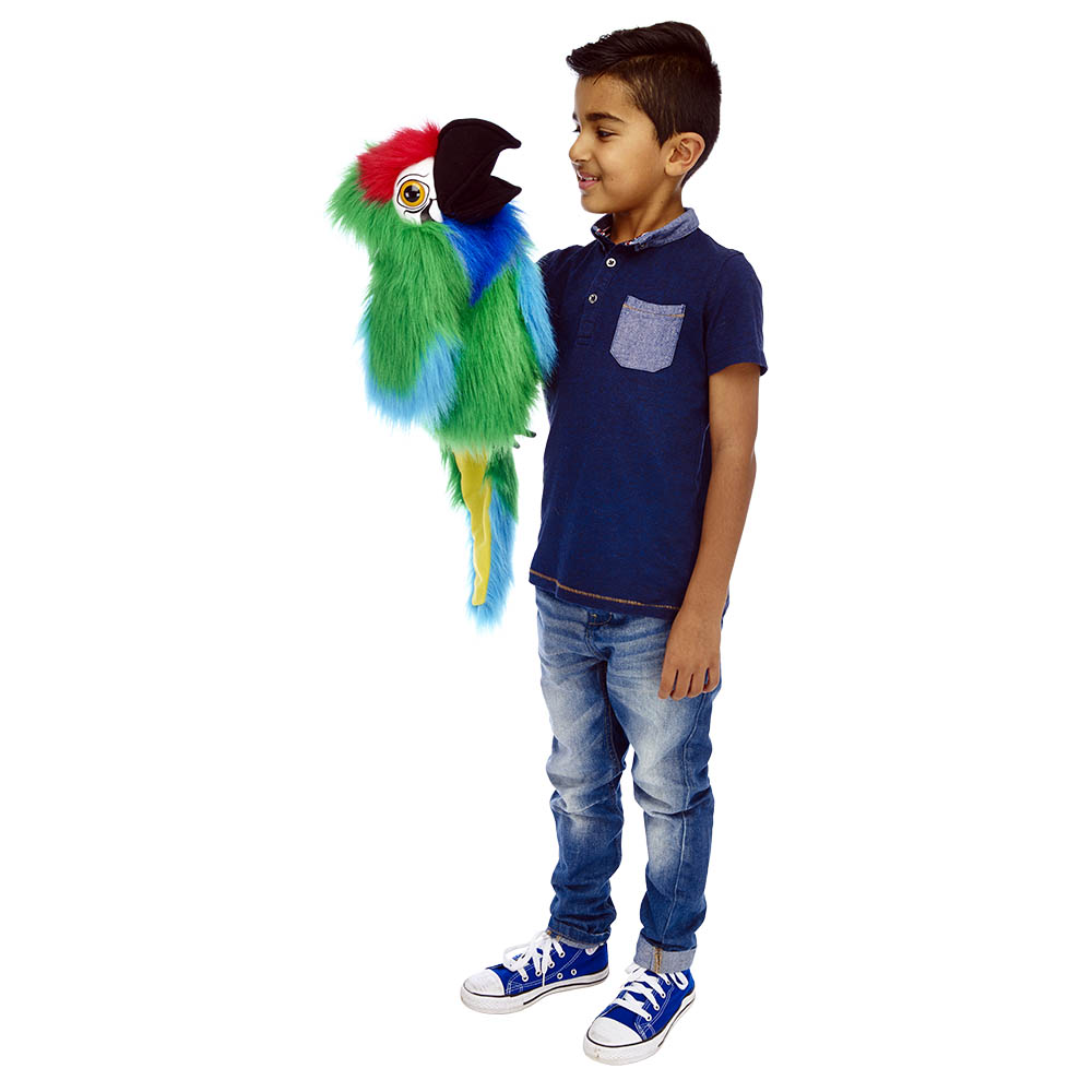 Boy holding the The Puppet Company military macaw hand puppet on his arm, usage example