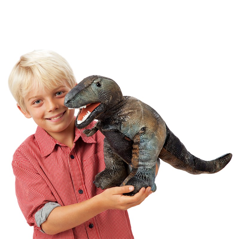 Boy holding the Folkmanis Small Tyrannosaurus Rex hand puppet with open mouth and detailed grey-green-brown scale texture