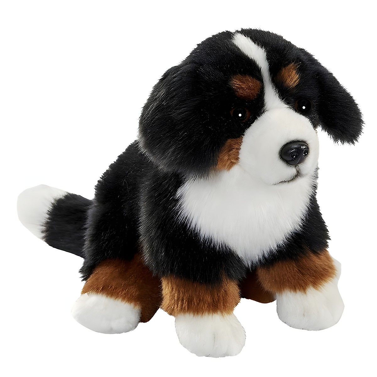 Sitting Bernese Mountain Dog puppy by Anima with black, white and brown fur and a white blaze