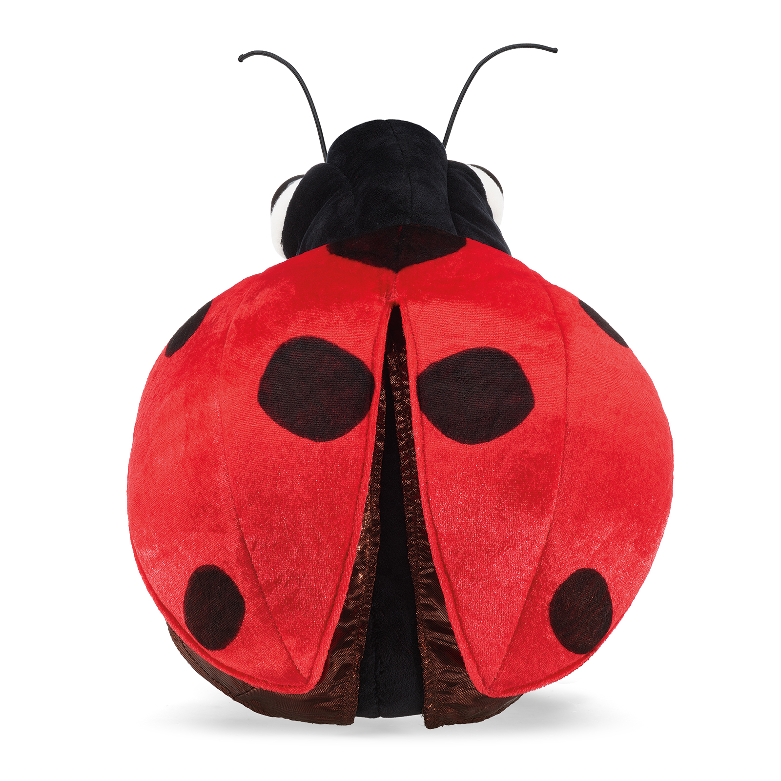 Folkmanis ladybird hand puppet from above, its red wing case spread symmetrically with black spots on both halves.