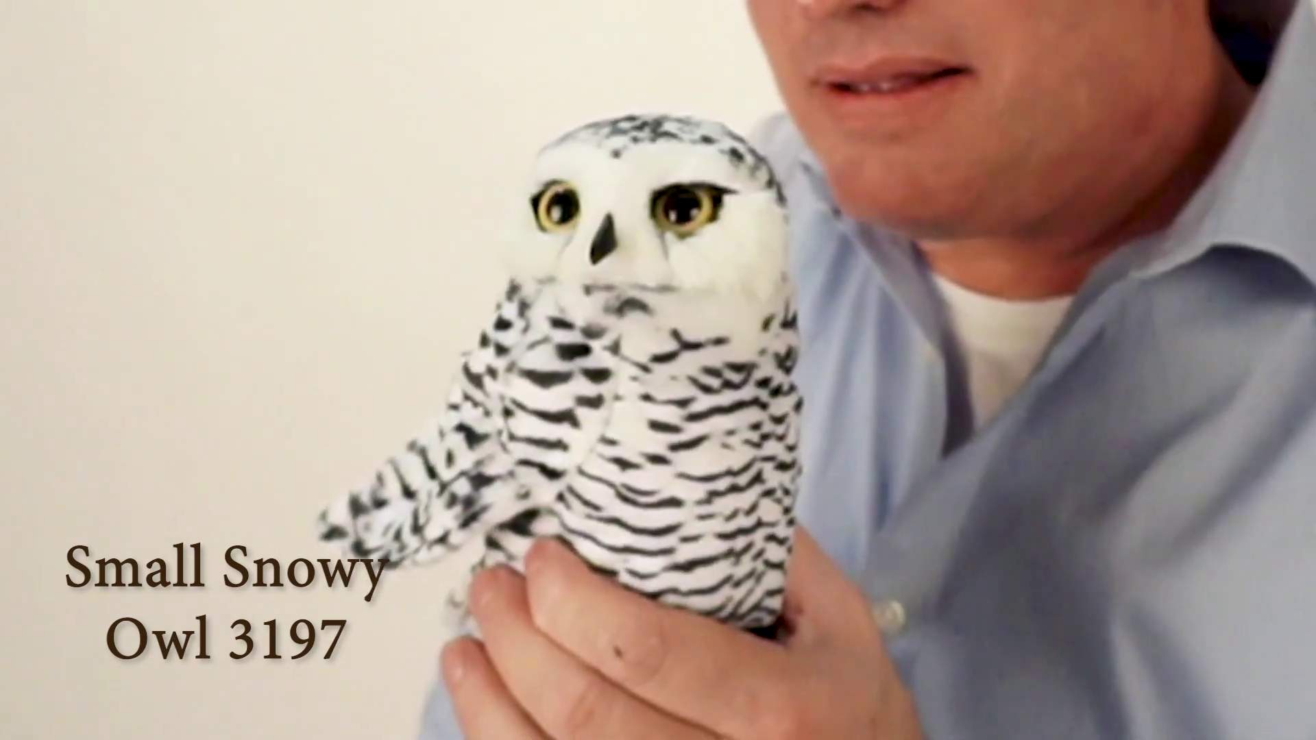 Folkmanis Small Snowy Owl Hand Puppet Demo
