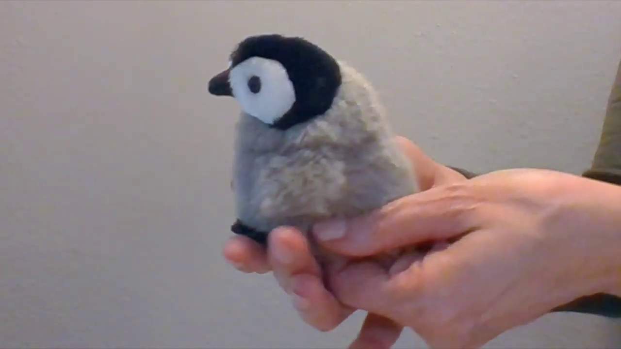 Folkmanis Mini Baby Emperor Penguin Finger Puppet Demo