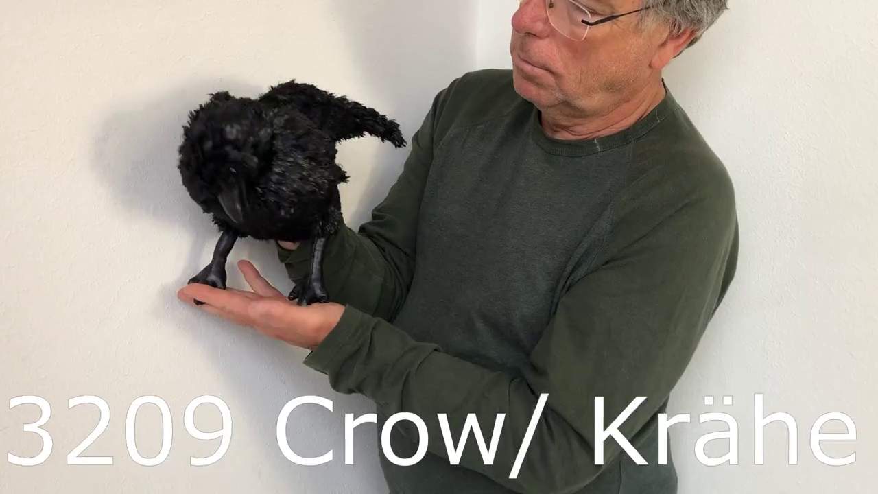 Folkmanis Crow Hand Puppet Demo