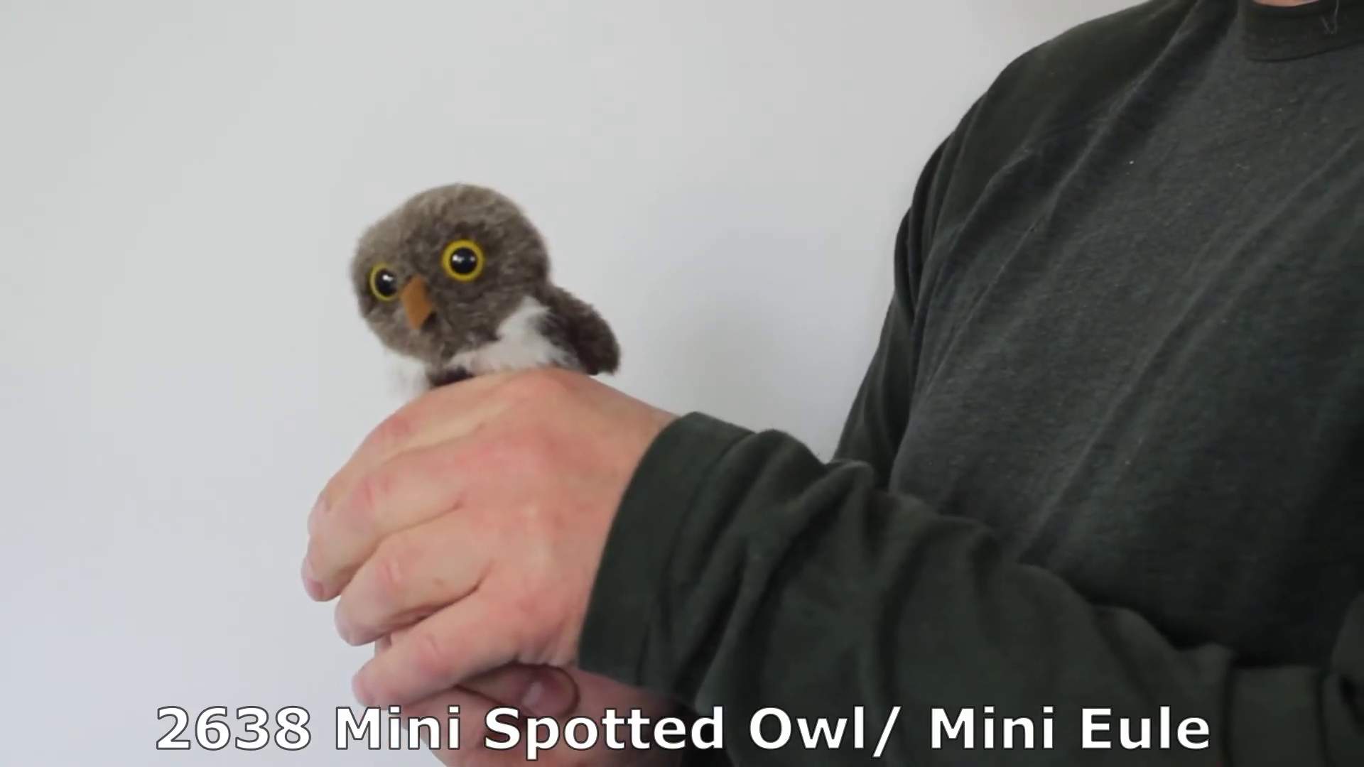 Folkmanis Mini Spotted Owl Finger Puppet Demo