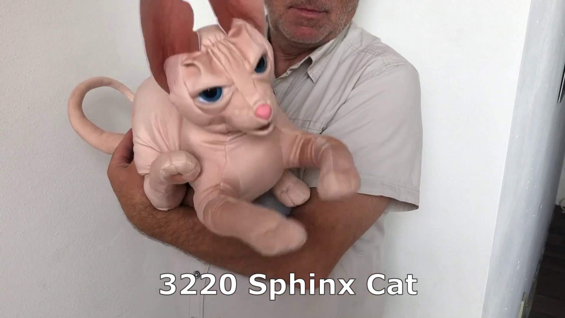Folkmanis Sphinx Cat Hand Puppet Demo
