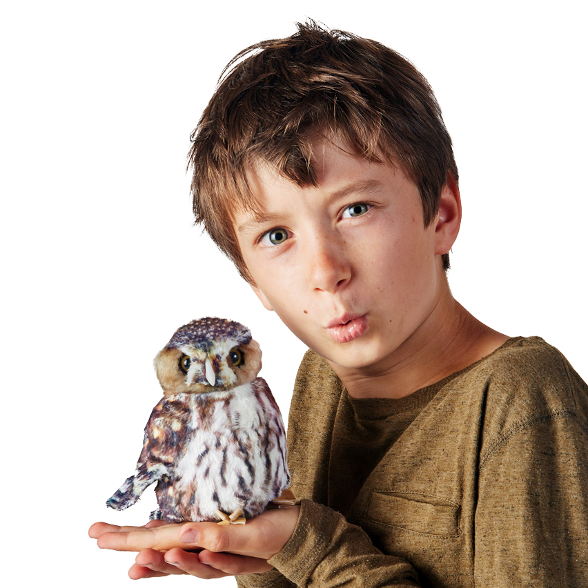 Boy holding a Folkmanis pygmy owl hand puppet on his open palm, brown and white spotted with detailed feathers