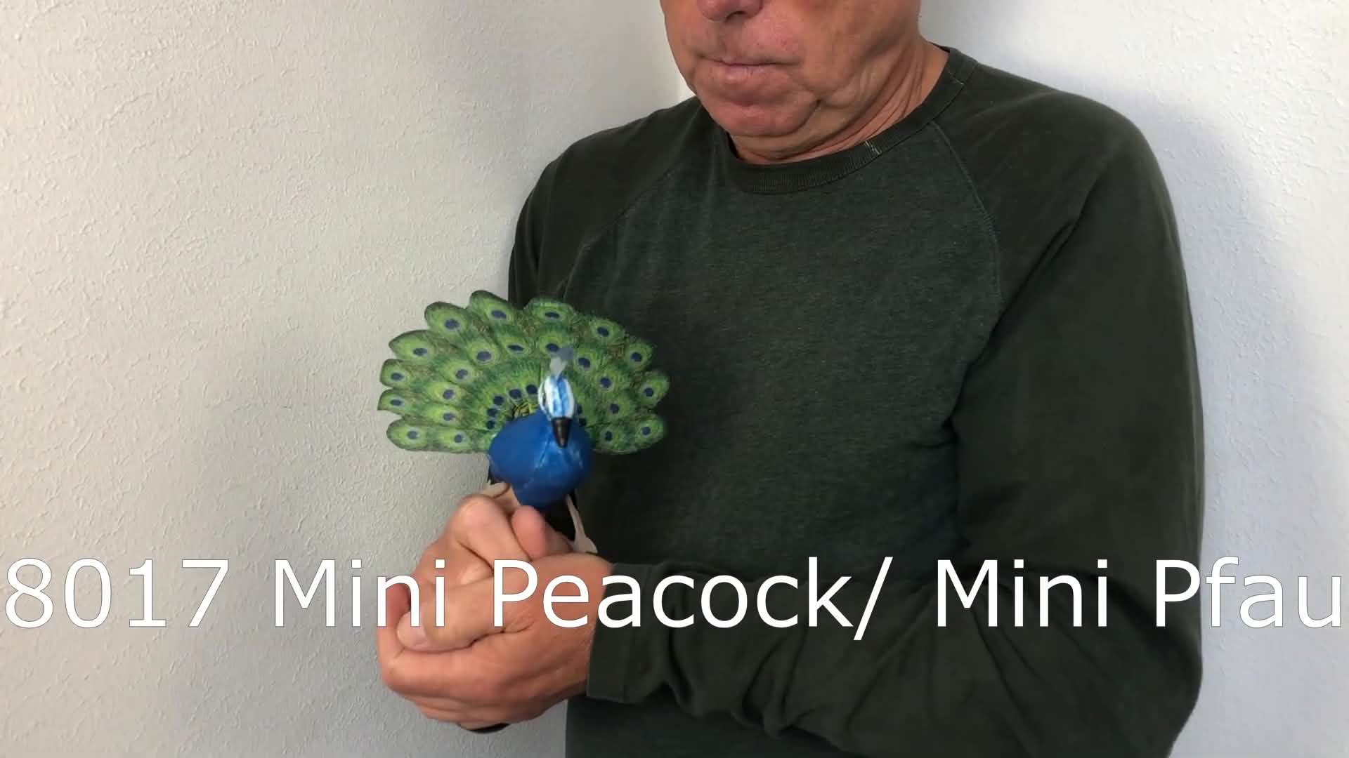 Folkmanis Mini Peacock Finger Puppet Demo