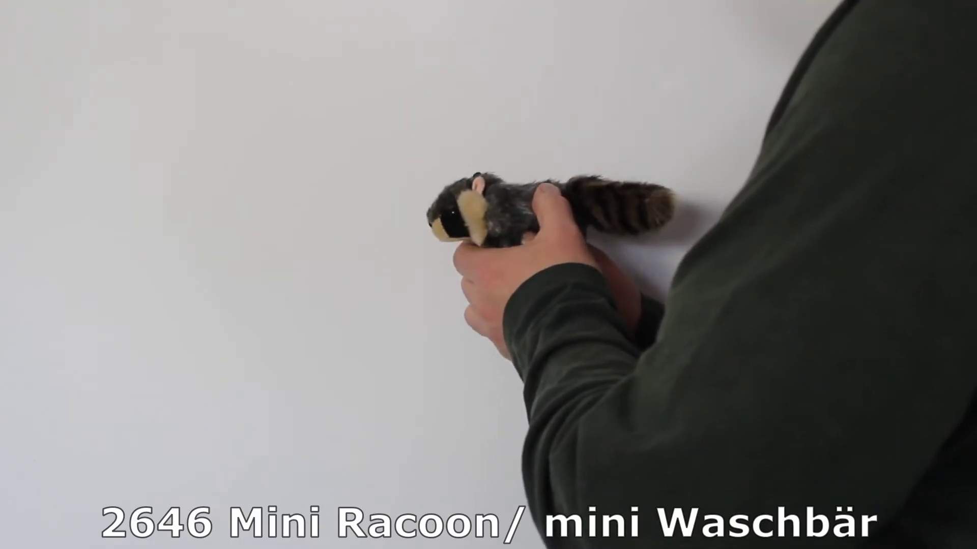Folkmanis Mini Raccoon Finger Puppet Demo