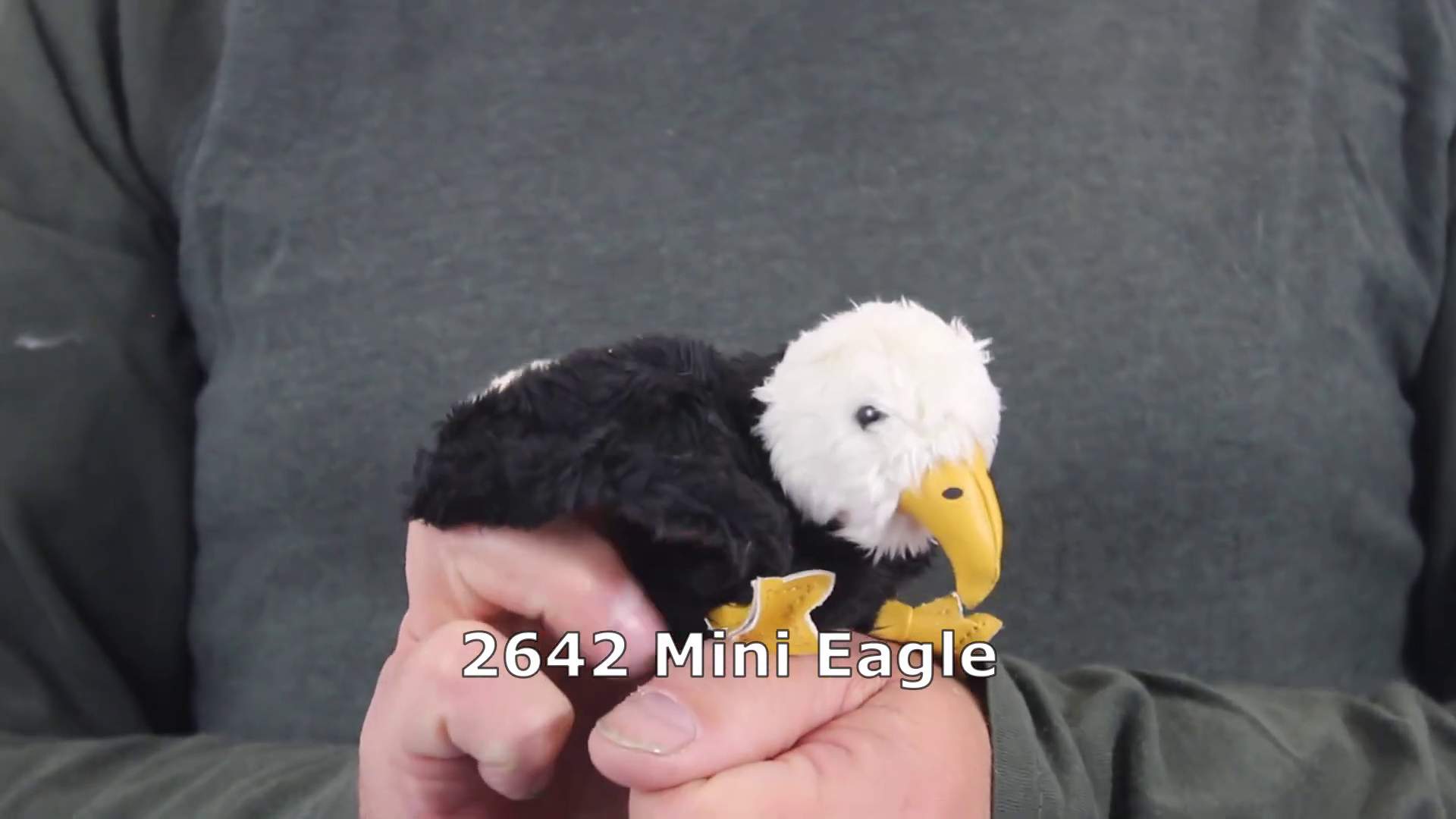 Folkmanis Mini Eagle Finger Puppet Demo