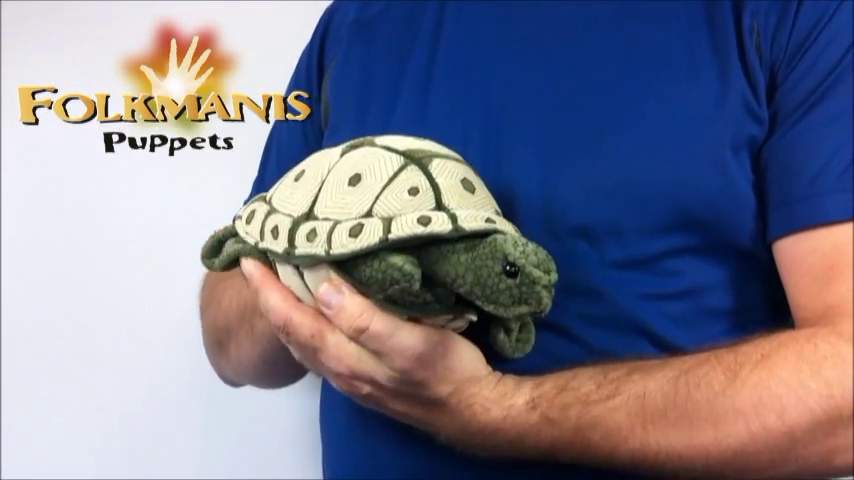 Folkmanis Tortoise Hand Puppet Demo 2