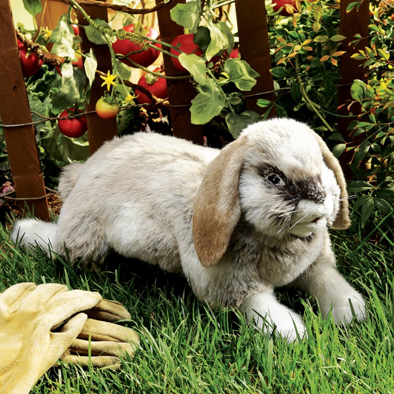 Folkmanis hand puppet Holland Lop rabbit with grey-beige fur and drooping ears, lying on grass in front of tomato plants