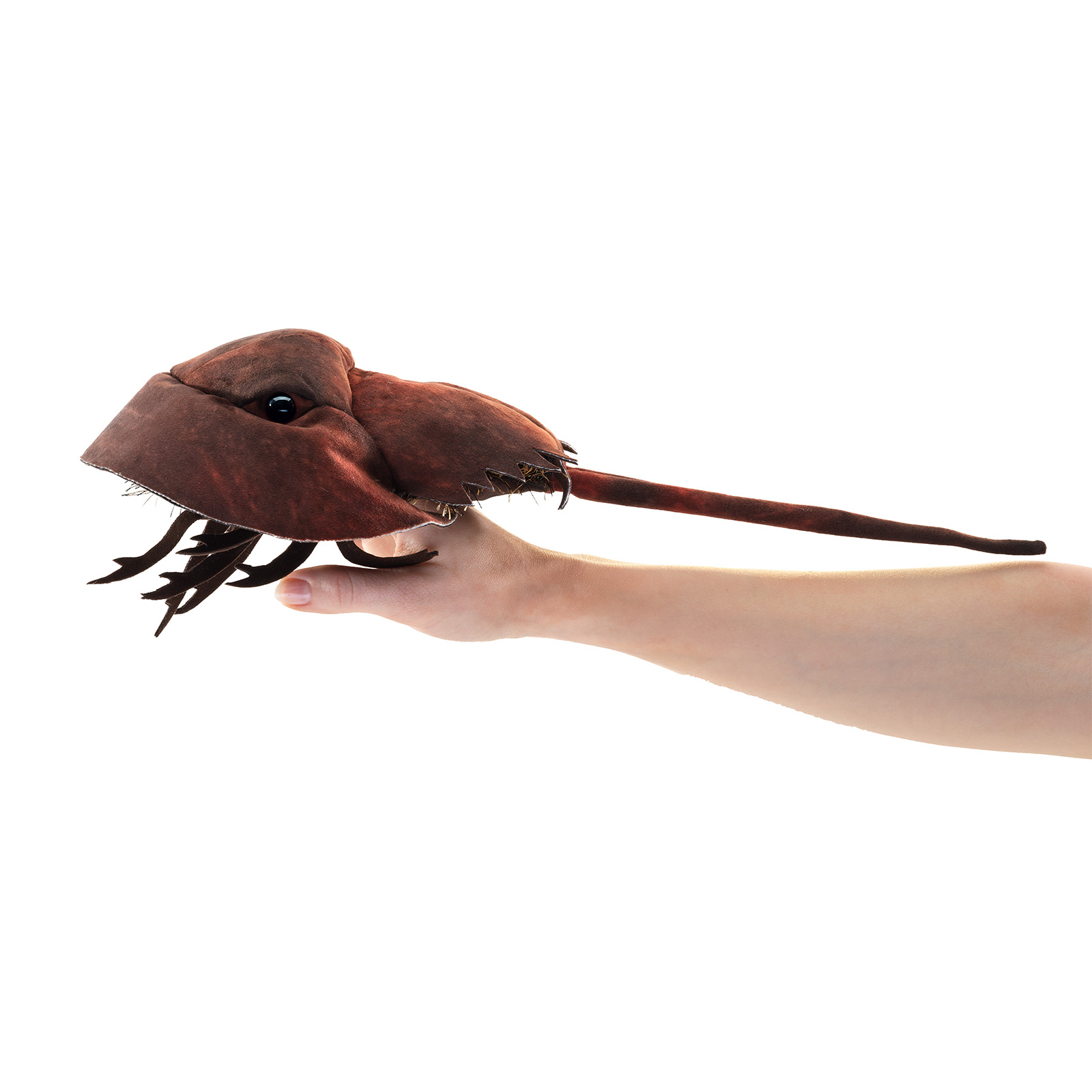 Folkmanis horseshoe crab hand puppet in side view, reddish-brown with a long spiked tail, worn on a hand