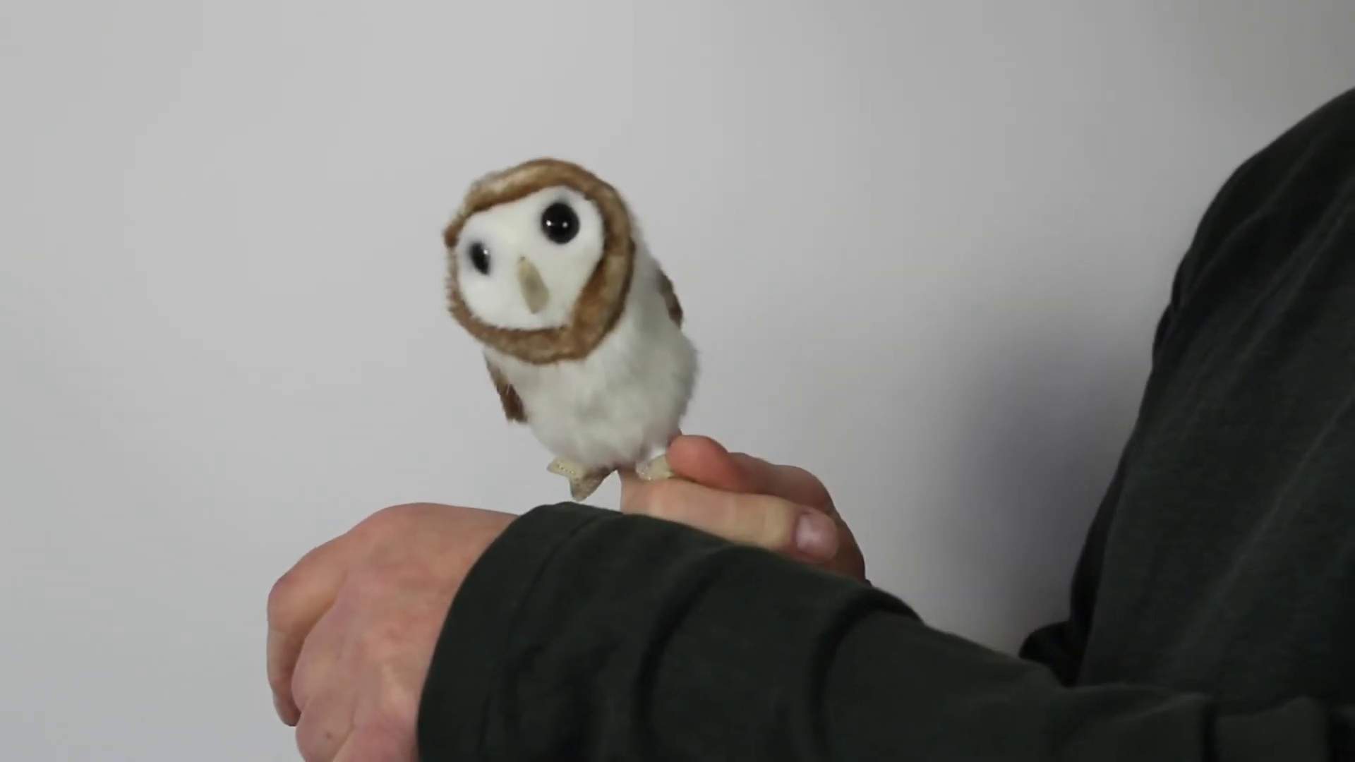Folkmanis Mini Barn Owl Finger Puppet Demo