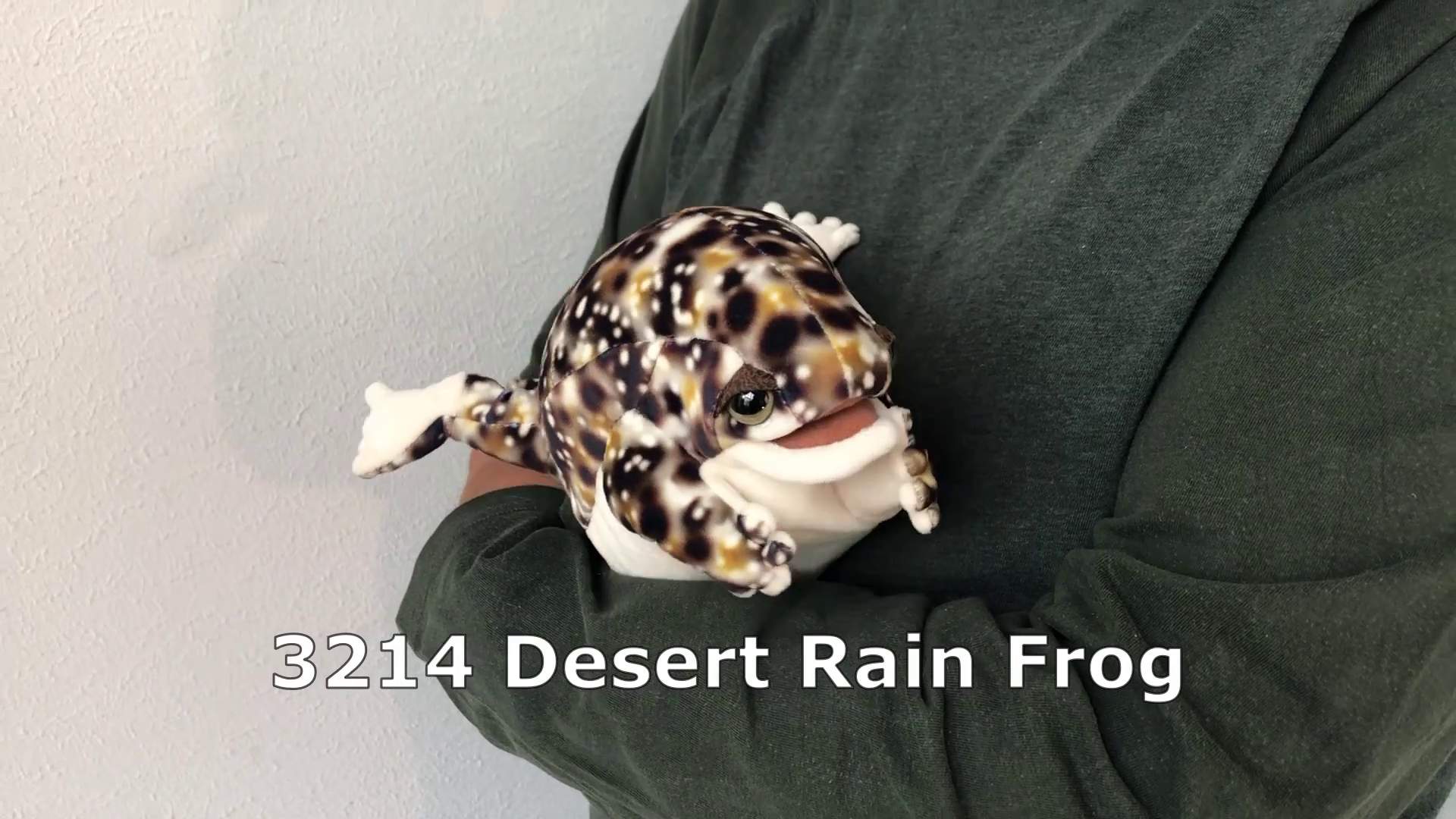 Folkmanis Desert Rain Frog Hand Puppet Demo