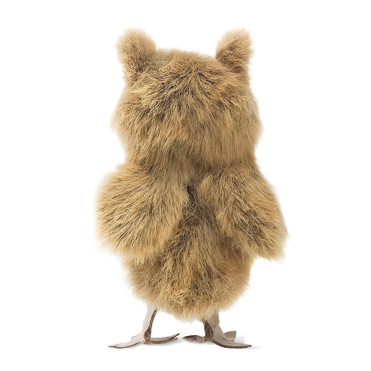 Folkmanis mini great horned owl finger puppet shown from the back, golden-brown shaggy plumage, distinctive ear tufts, detailed talon feet