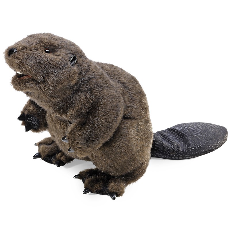 Folkmanis beaver hand puppet with dark brown fur, open mouth, black claws and characteristically patterned tail, angled view