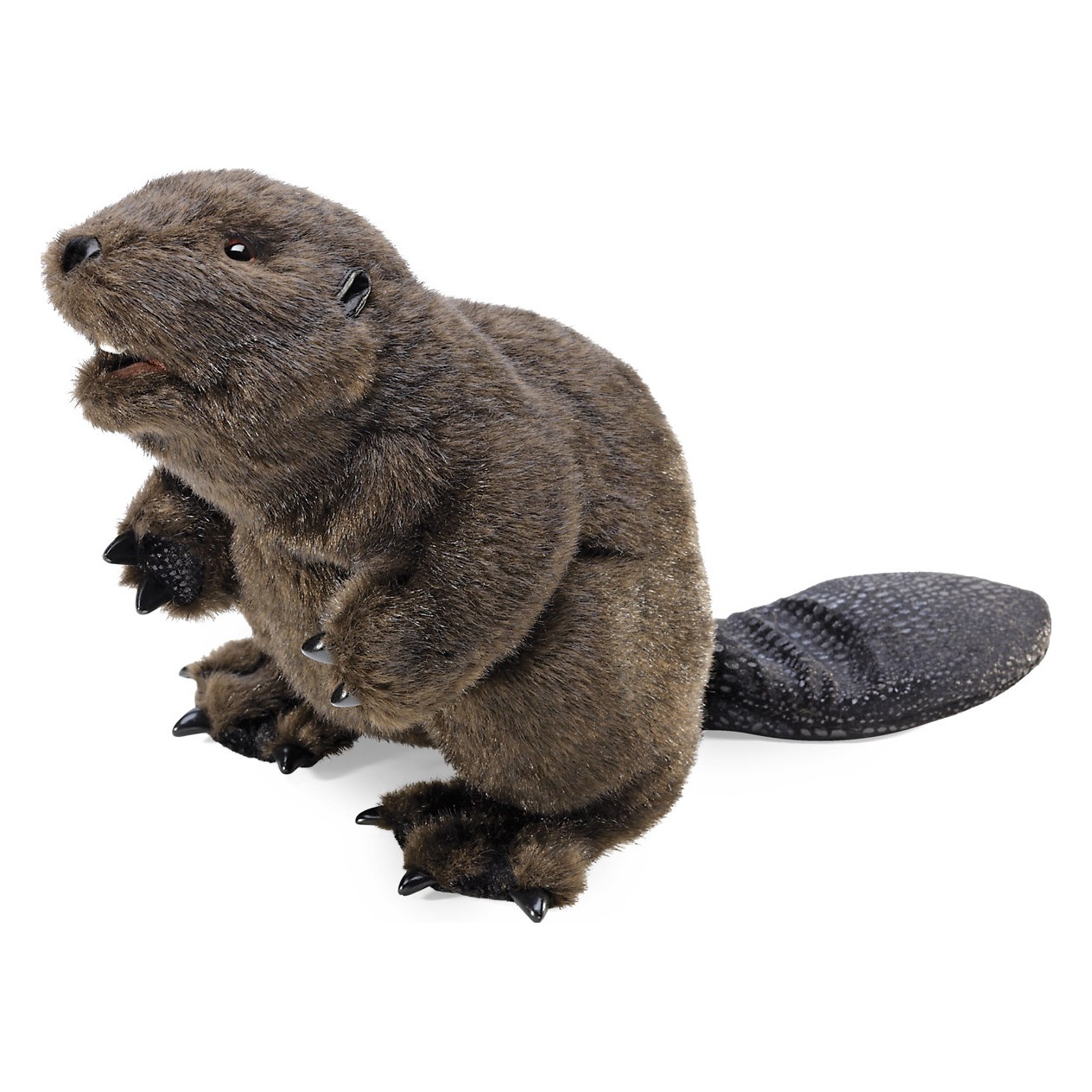 Folkmanis beaver hand puppet with dark brown fur, open mouth, black claws and characteristically patterned tail, angled view