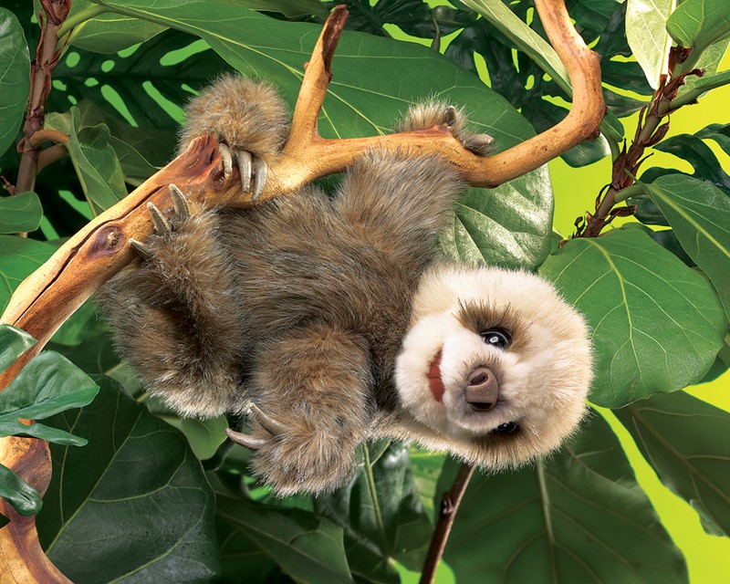 Folkmanis Baby Sloth Hand Puppet - Produktbild 3