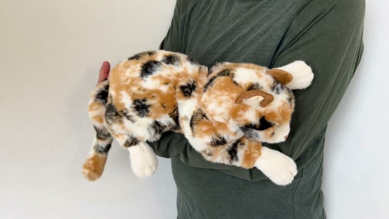 Folkmanis Calico Cat Hand Puppet  Demo