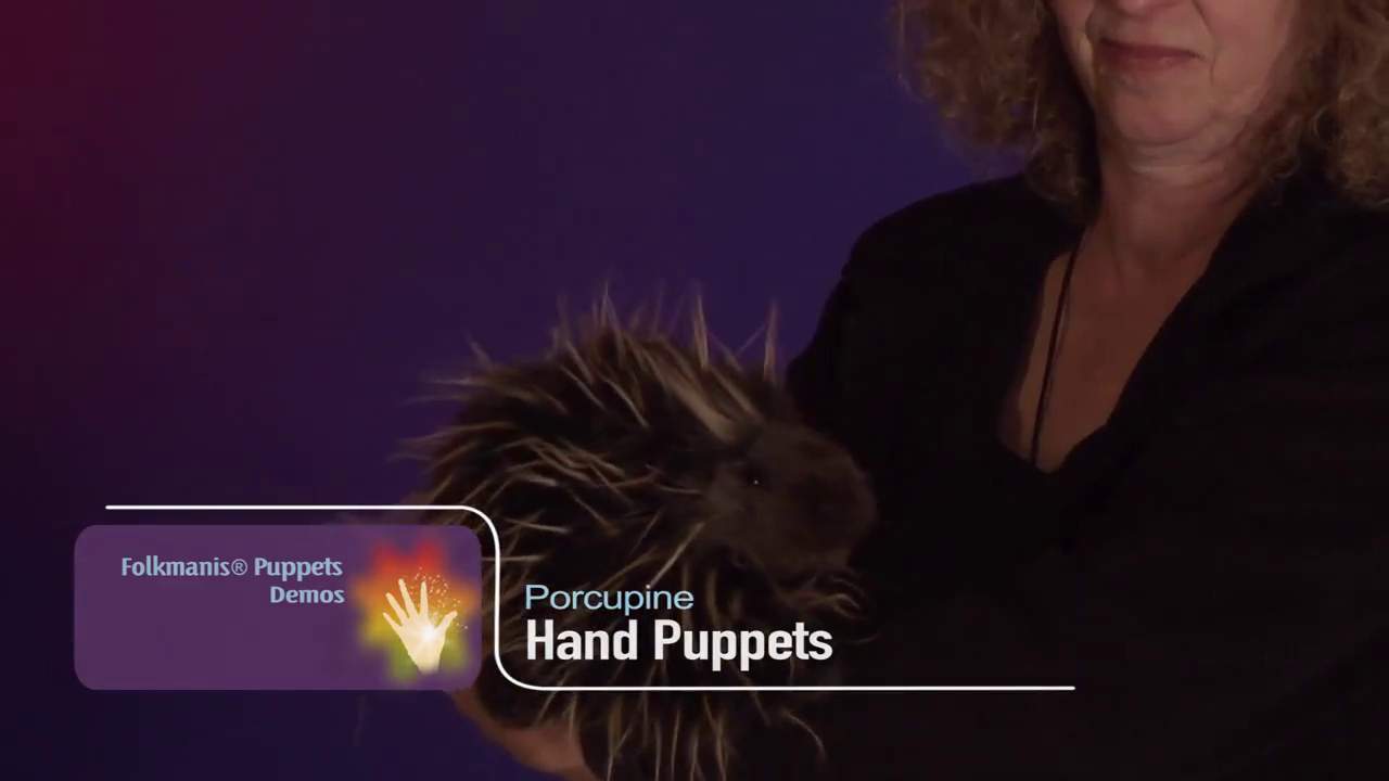 Folkmanis Porcupine Hand Puppet Demo 2