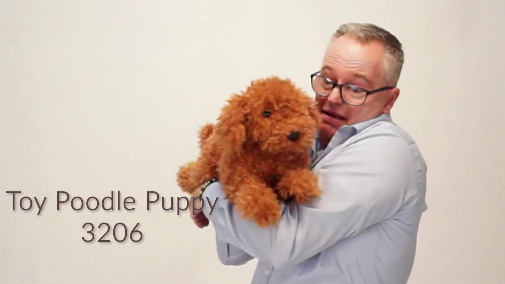 Folkmanis Toy Poodle Hand Puppet Demo