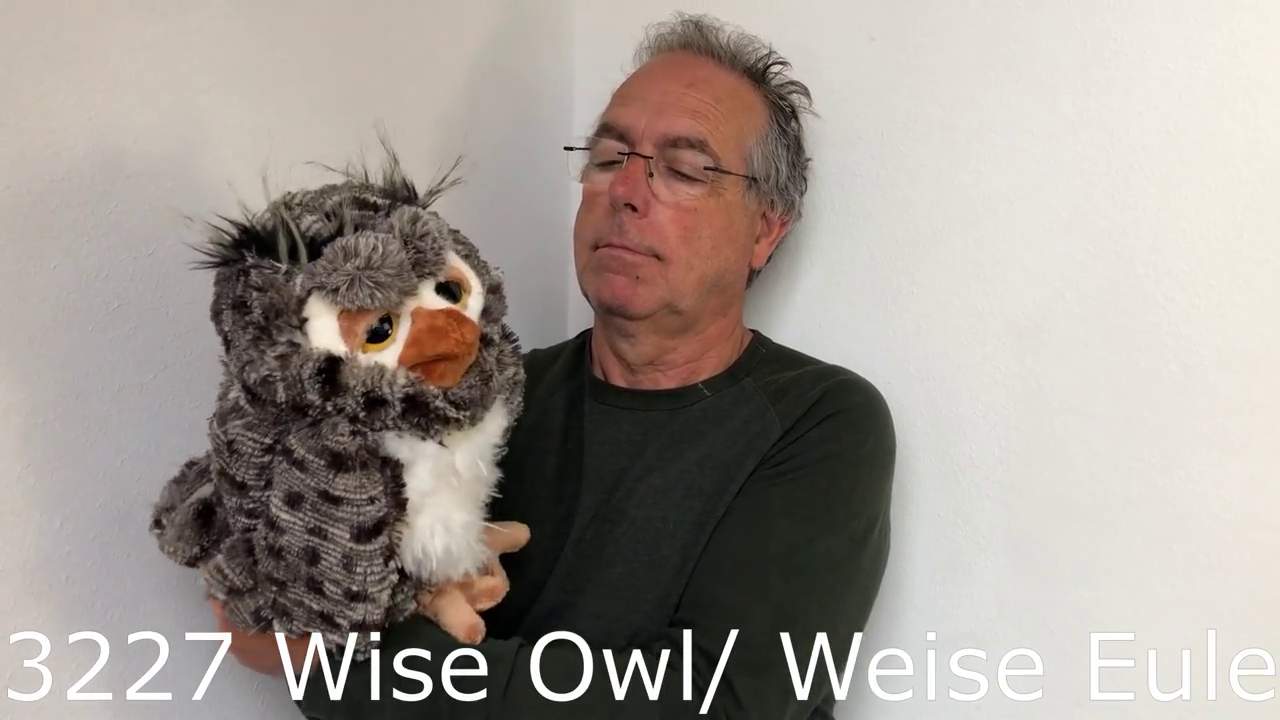 Folkmanis Wise Owl Hand Puppet Demo