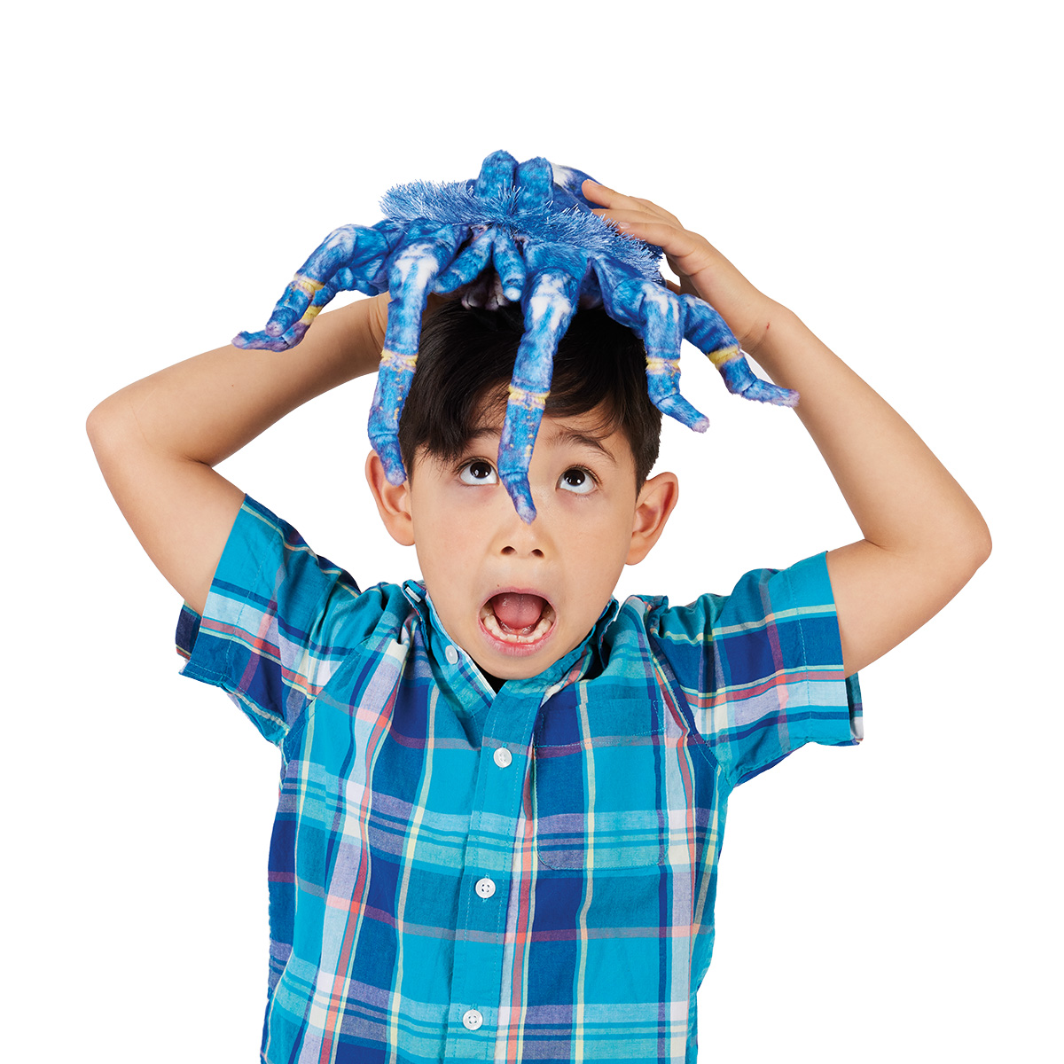 Folkmanis Blue Tarantula Hand Puppet - Produktbild 4