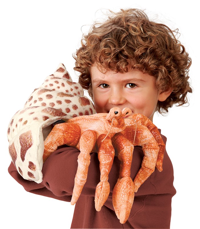 Folkmanis hermit crab hand puppet in orange with a spotted snail shell, held towards the camera by a child