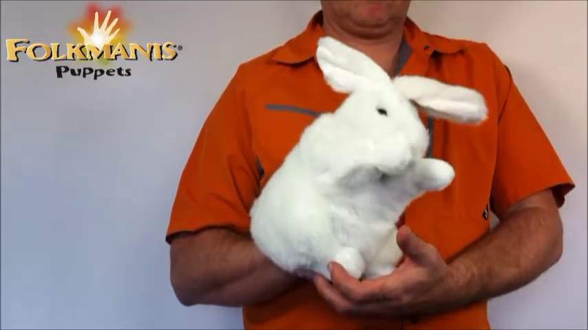 Folkmanis Standing White Rabbit Hand Puppet Demo 2