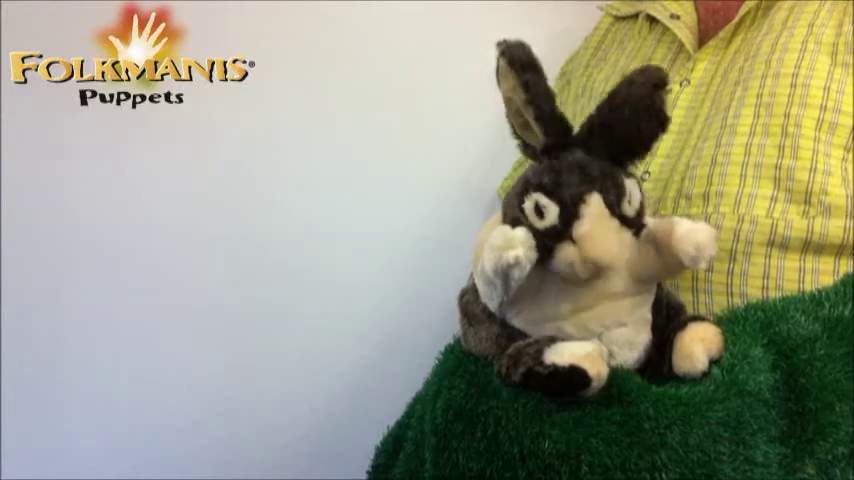 Folkmanis Baby Dutch Rabbit Hand Puppet Demo 2