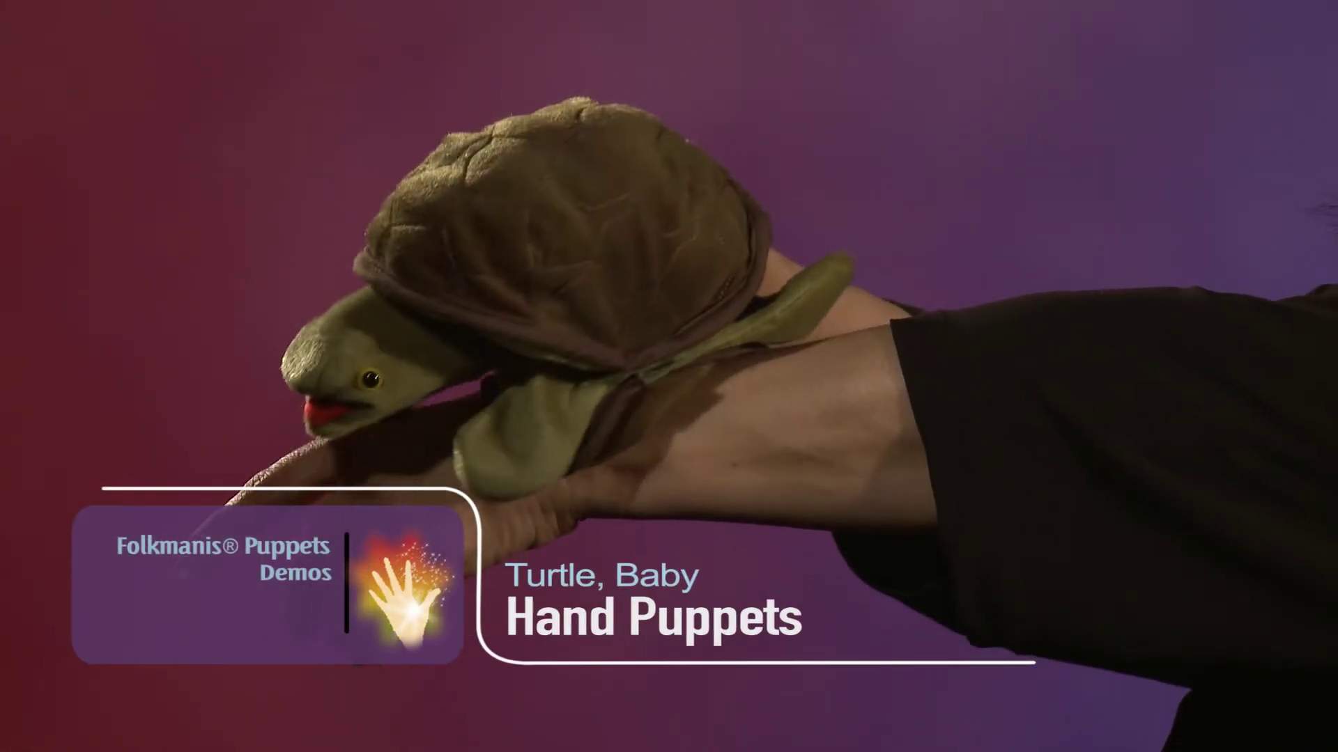 Folkmanis Baby Turtle Hand Puppet Demo