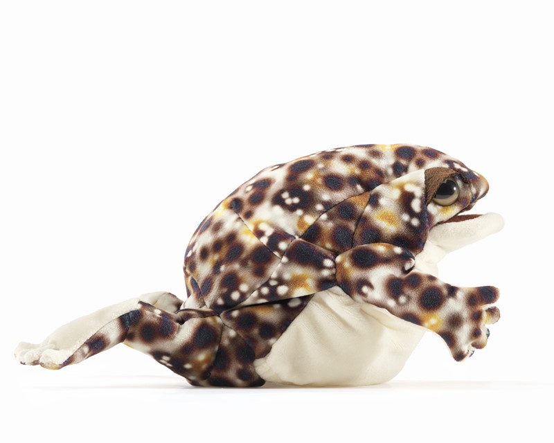 Folkmanis Desert Rain Frog hand puppet in side view, brown and white spotted with spread legs and open mouth