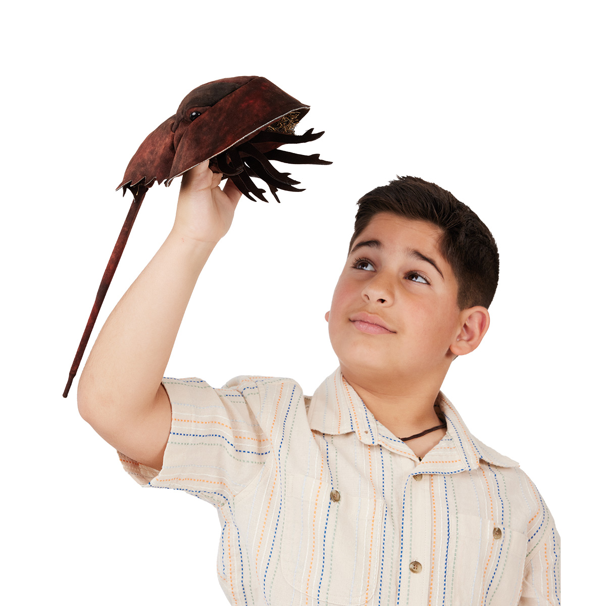 Folkmanis Horseshoe Crab Hand Puppet - Produktbild 5