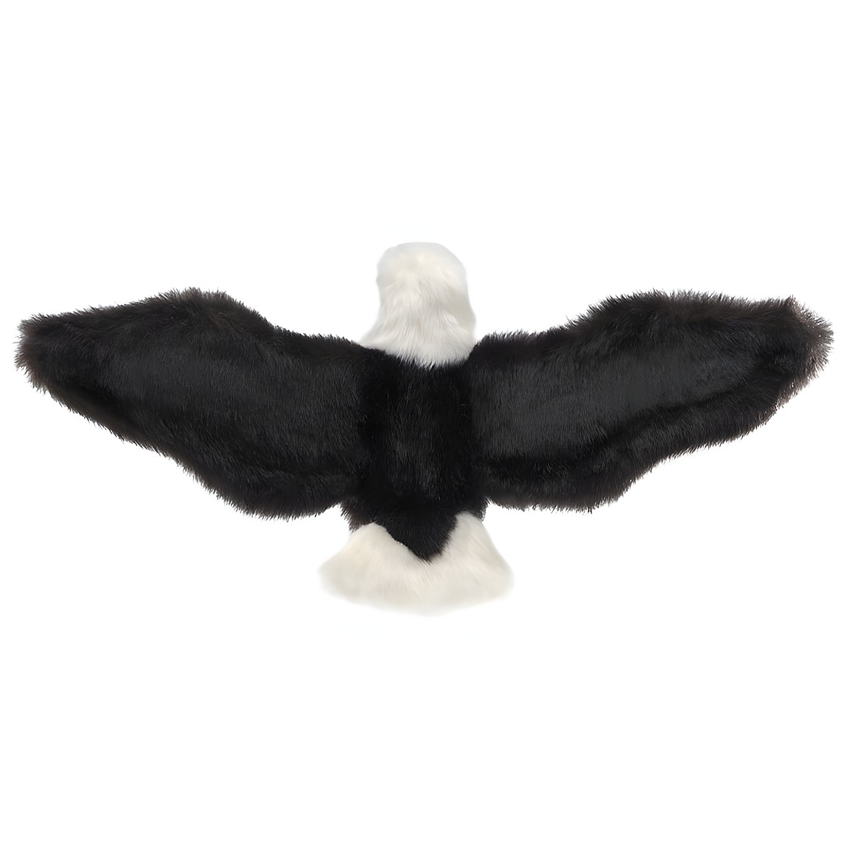 Folkmanis bald eagle hand puppet with outstretched black wings and white head and tail, seen from above