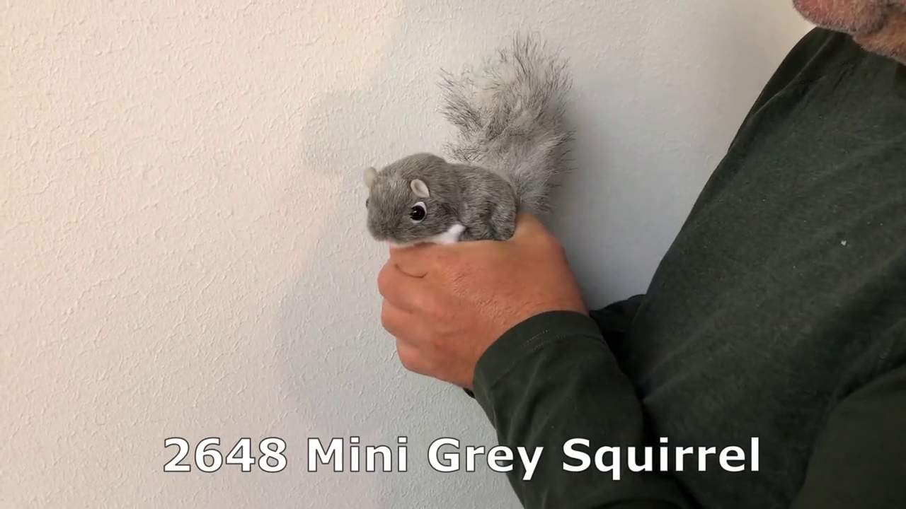 Folkmanis Mini Grey Squirrel Finger Puppet Demo