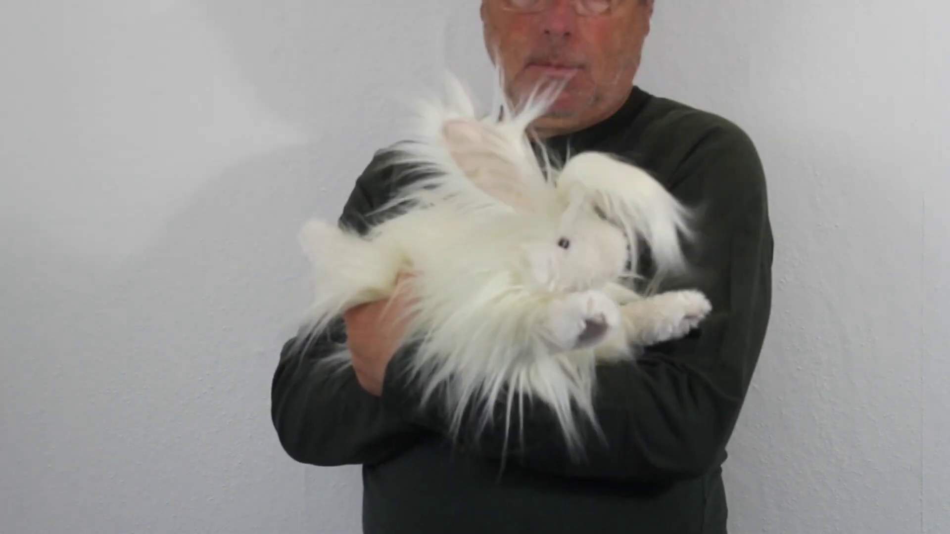 Folkmanis Angora Rabbit Hand Puppet Demo